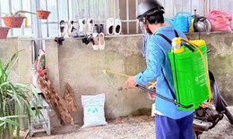 Phát hiện ổ dịch sốt xuất huyết tại Hà Tĩnh