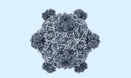 Mỹ tạo 16 loại virus chưa từng có ngoài tự nhiên bằng AI