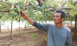 Nhiều người dân phản ánh nguồn nước hồ Sông Biêu có màu xám đục, ảnh hưởng cây trồng, vật nuôi