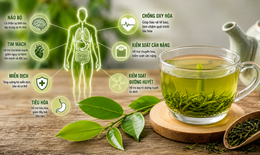 Điều gì xảy ra với cơ thể khi uống trà xanh mỗi ngày?