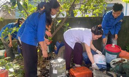 Nghệ An: 49 ca sốt xuất huyết tại một xã, nguy cơ dịch lan rộng