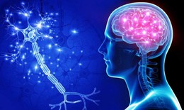 4 yếu tố nguy cơ gây bệnh Alzheimer