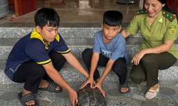 Hai học sinh cứu cá thể rùa quý hiếm nặng 9kg mắc kẹt bên kênh