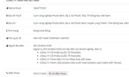 PAK Việt Nam vi phạm công bố thông tin về trái phiếu