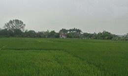 Các mức phạt khi cho thuê đất được nhà nước giao hoặc công nhận sai quy định