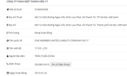 Công ty TNHH MTV 17 vi phạm chứng khoán