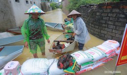Làng quê ngoại thành Hà Nội ngập sâu, người dân bì bõm chuyển đồ