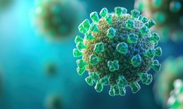 Fiji tuyên bố tình trạng khẩn cấp quốc gia về HIV