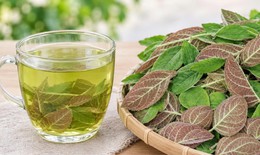 4 sai lầm khi sử dụng lá mơ lông nhiều người mắc phải