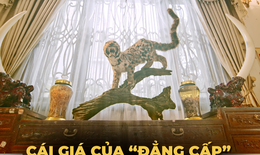 Mua bán, tàng trữ động vật hoang dã nguy cấp có thể ngồi tù hàng chục năm