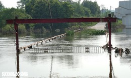 Dự án cầu nối 2 xã Hà Nội 'đắp chiếu' do không có mặt bằng thi công
