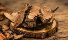 Lưu ý khi dùng hà thủ ô hỗ trợ ngăn ngừa tóc bạc sớm