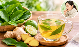 6 bài thuốc dân gian chữa bệnh từ lá chanh