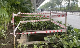 Hà Nội: Nhiều hố ga mất nắp trên đường Phạm Văn Đồng 