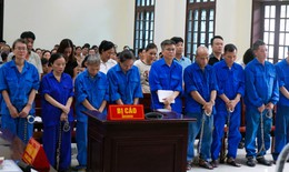 Sai phạm nghiêm trọng tại Công ty Đồ hộp Hạ Long, hàng loạt bị cáo hầu tòa
