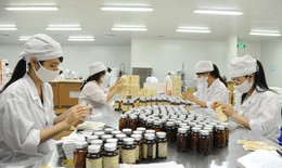 Liên kết công nghiệp dược và hóa dược để xây dựng chuỗi giá trị thuốc trong nước