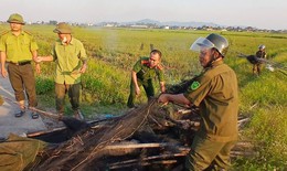 Phát hiện 'trận địa' bẫy chim giữa cánh đồng, thu 5.000m lưới
