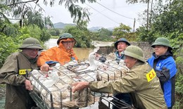 Đợt mưa dông sắp tới ở miền Bắc kéo dài bao lâu?
