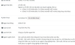 Công ty Cổ phần Việt Vương vi phạm chứng khoán