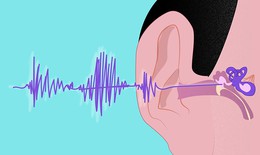 Nghe kém ở người già khi nào cần khám?