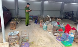 Phát hiện nam thanh niên đi ô tô bán nhiều chim hoang dã ở chợ