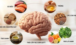 Dinh dưỡng đúng cách bảo vệ não bộ và cải thiện trí nhớ