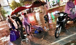 Đ&#227; x&#225;c định được l&#225;i xe t&#244;ng chết người rồi bỏ chạy