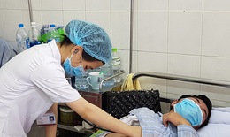 Nhận diện muỗi truyền sốt xuất huyết để phòng bệnh
