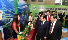 Phó Thủ tướng dự, chỉ đạo hội nghị thúc đẩy sản xuất, chế biến và xuất khẩu lâm sản