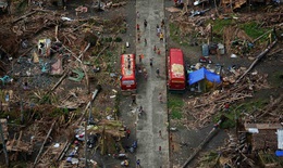 6.000 người Philippines chết do bão Haiyan