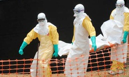 8 điều cần biết về vi rút chết người Ebola