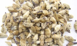 Bài thuốc trị hôi nách