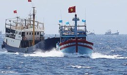 Tàu Trung Quốc bắt giữ tàu cá Việt Nam: 2 ngư dân đã chạy thoát