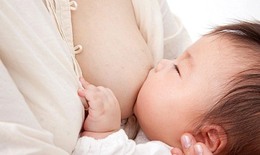 Cho con bú sữa mẹ ở ngày đầu chào đời
