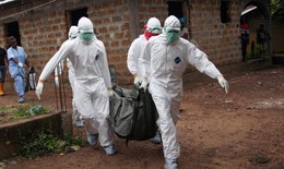 Bộ Y tế lập 4 Đội đáp ứng nhanh phòng, chống dịch bệnh Ebola