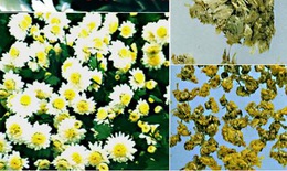 Món ăn giúp hạ mỡ máu