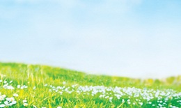 Đi tìm bí mật của hạnh phúc