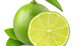 M&#225;ch bạn b&#237; quyết trị h&#244;i n&#225;ch từ thi&#234;n nhi&#234;n