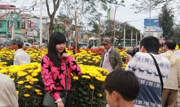 Bỏ cả triệu đồng để chụp ảnh cùng hoa ngàyTết