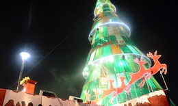Chiêm ngưỡng cây thông Noel 'khủng' nhất Việt Nam