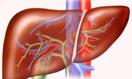 Những lưu ý khi dùng thuốc ở người bệnh gan