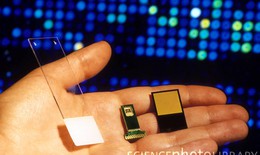 Chip siêu nhỏ  giám định ADN