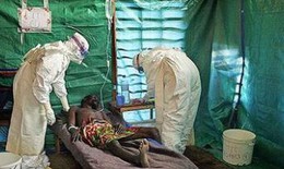 Khẩn trương giám sát dịch bệnh Ebola tại các cửa khẩu