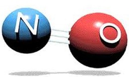 Nitric oxide- giảm gánh nặng bệnh tật cho bệnh nhân tim mạch