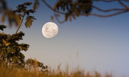 Những điều nên làm giúp bạn may mắn an lành trong "tháng cô hồn"