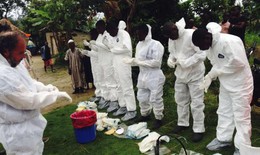 WHO: tìm thuốc điều trị bệnh do virus ebola