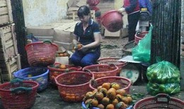 Kỹ nghệ 'hồi sinh' hoa quả thối