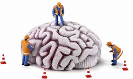 Trẻ lâu nhờ lao động trí não