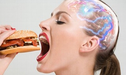 8 thực phẩm dần phá hoại não