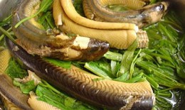Món ngon từ cá giúp quý ông “sung”